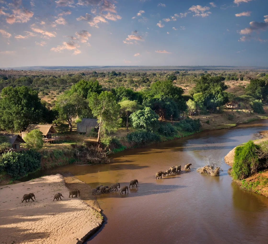 Elephant herd at the river, northern Kruger