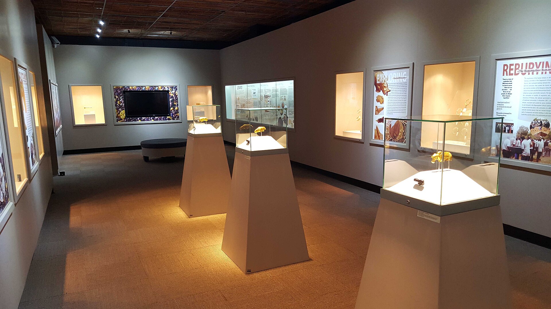 The golden rhinoceros of Mapungubwe on display