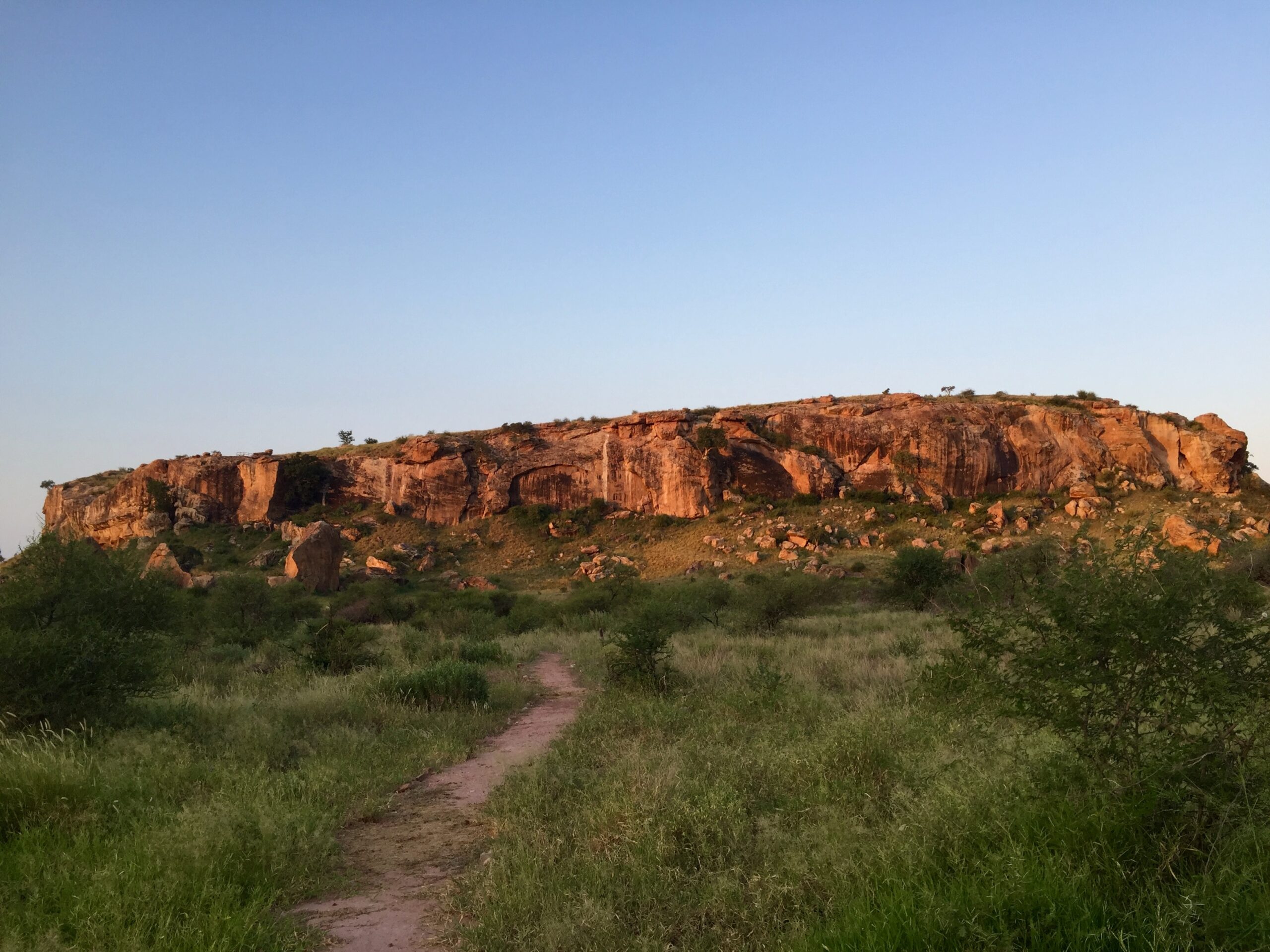 Mapungubwe Hill, the hill of the golden rhino