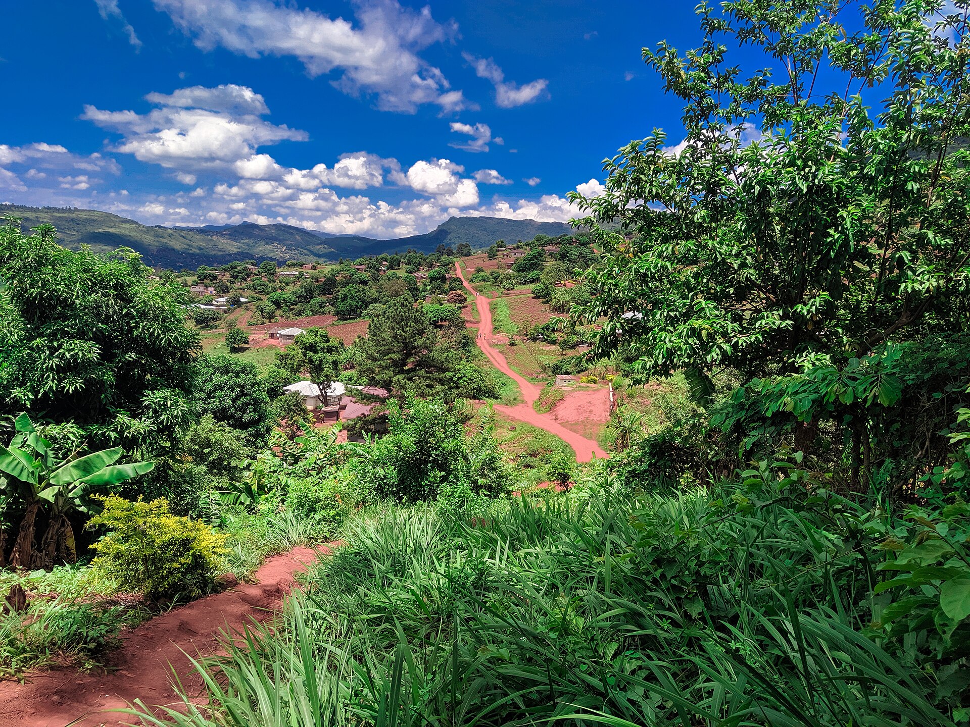 A village visit in the Venda highlands near Mukumbani